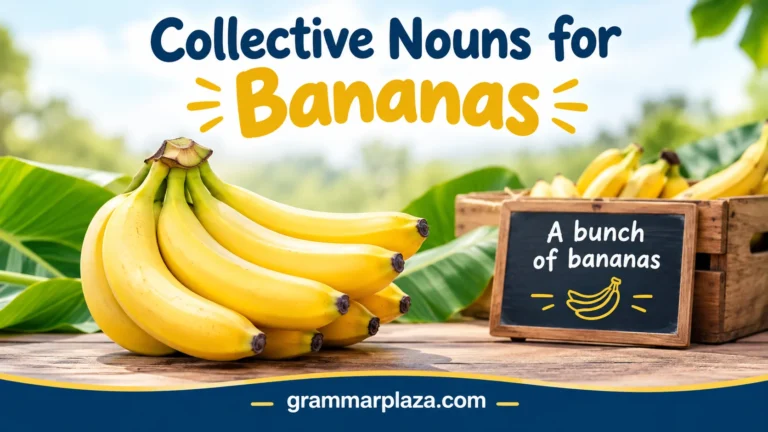 Collective Nouns for Bananas