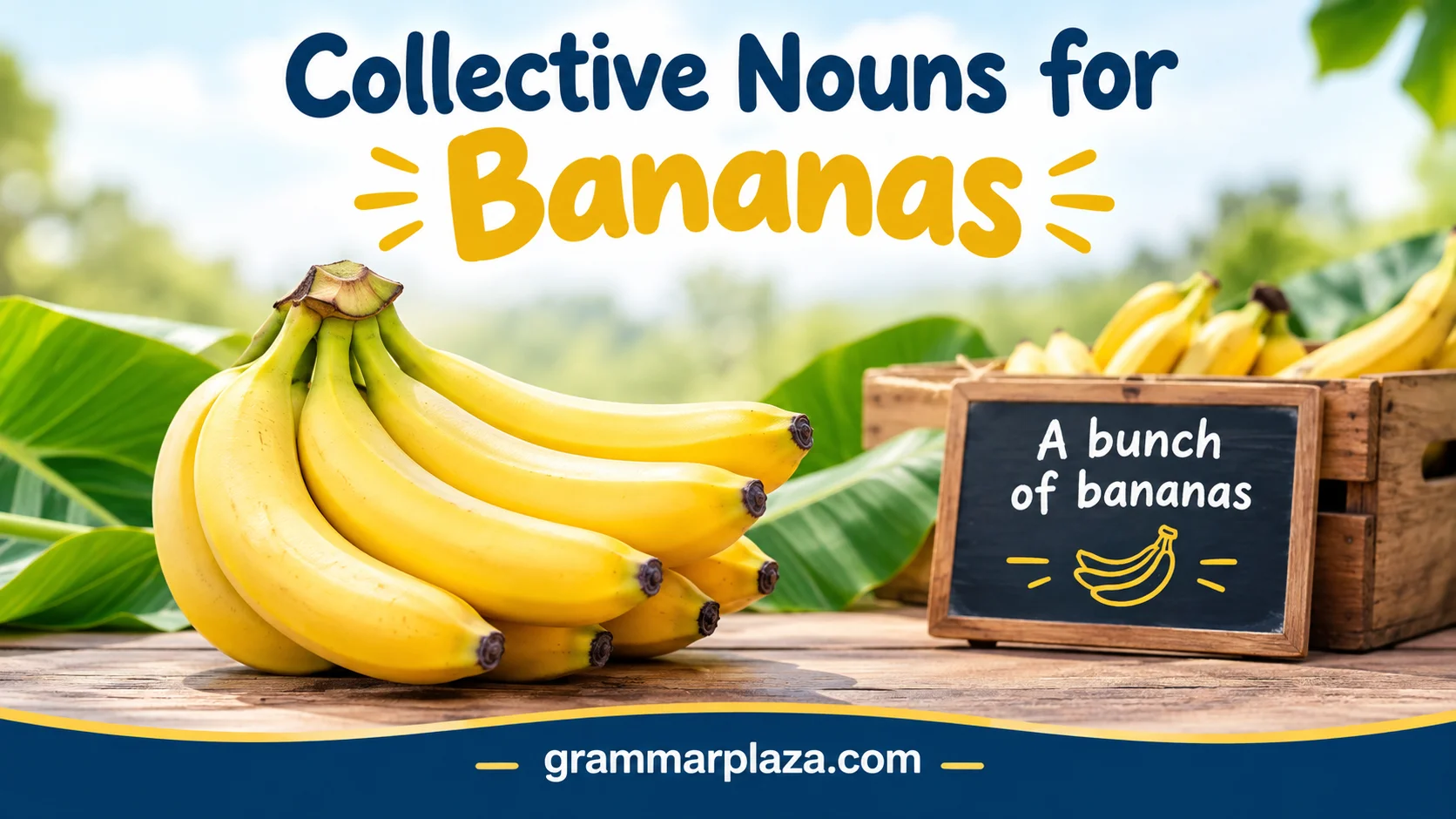 Collective Nouns for Bananas