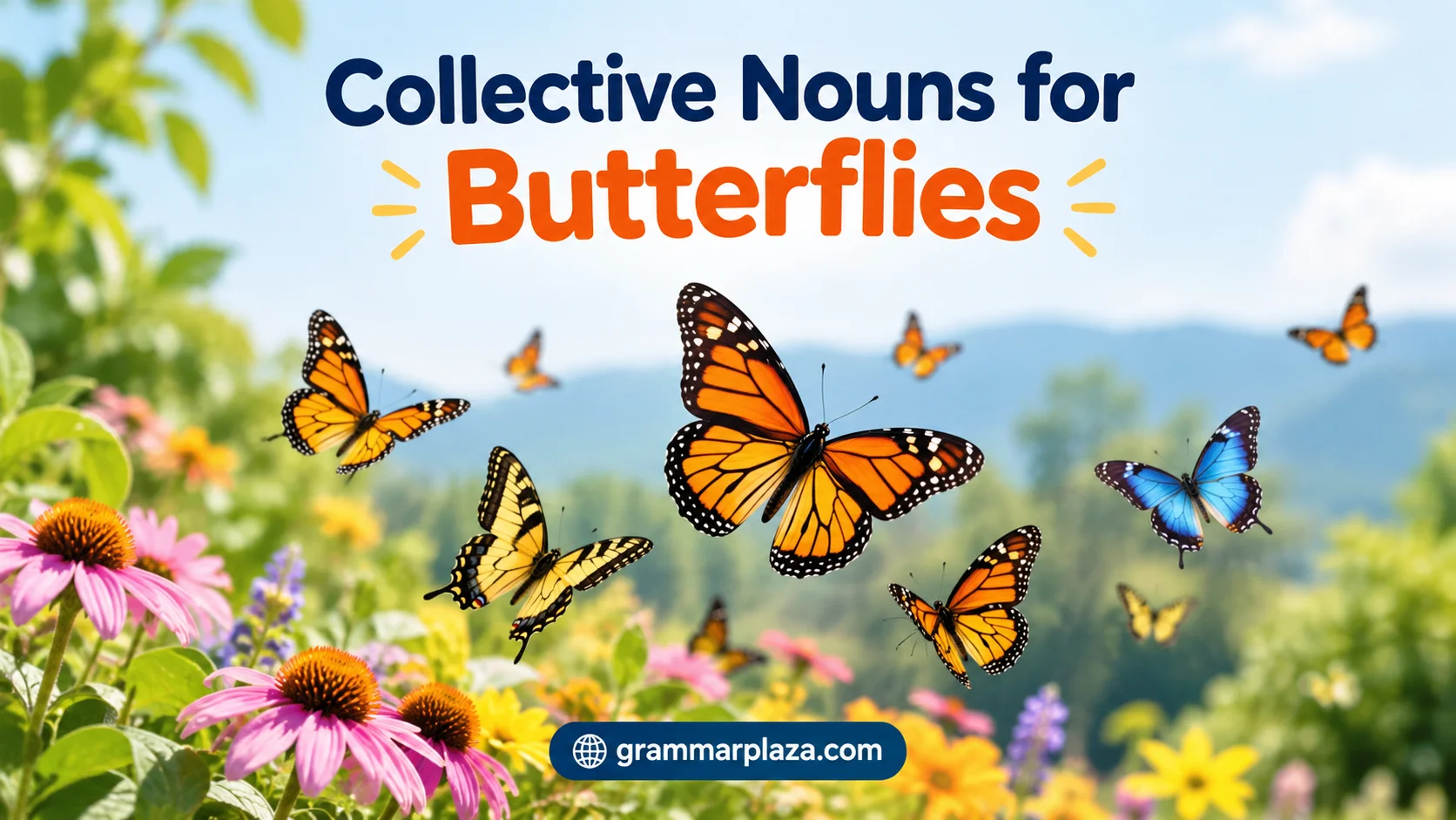 Collective Nouns for Butterflies