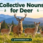 Collective Nouns for Deer