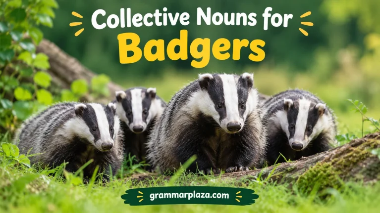 Collective Nouns for Badgers