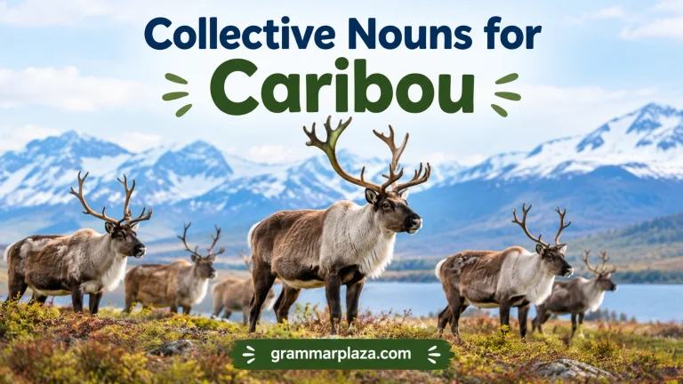 Collective Nouns for Caribou