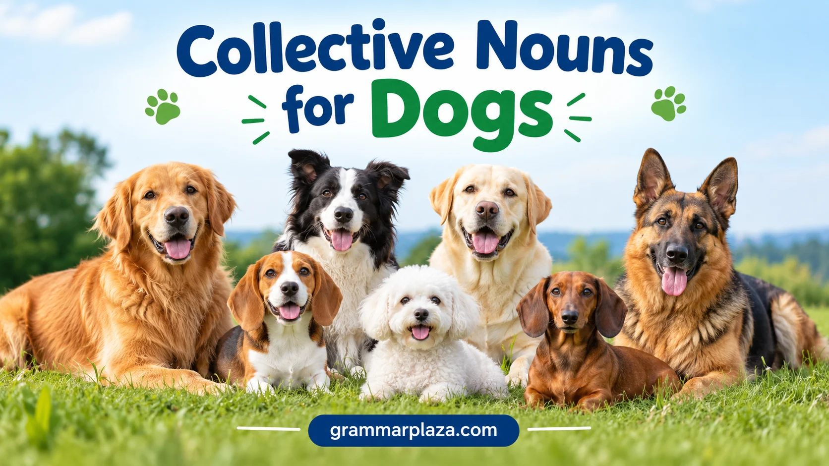 Collective Nouns for Dogs