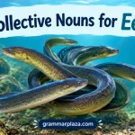 Collective Nouns for Eels