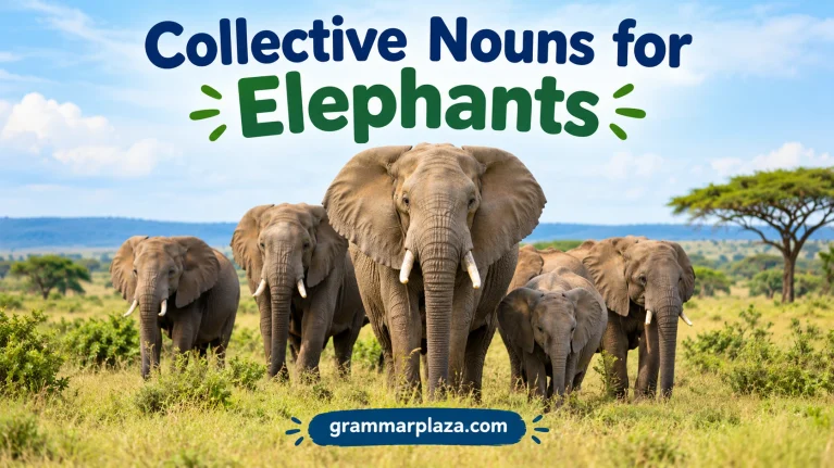 Collective Nouns for Elephants
