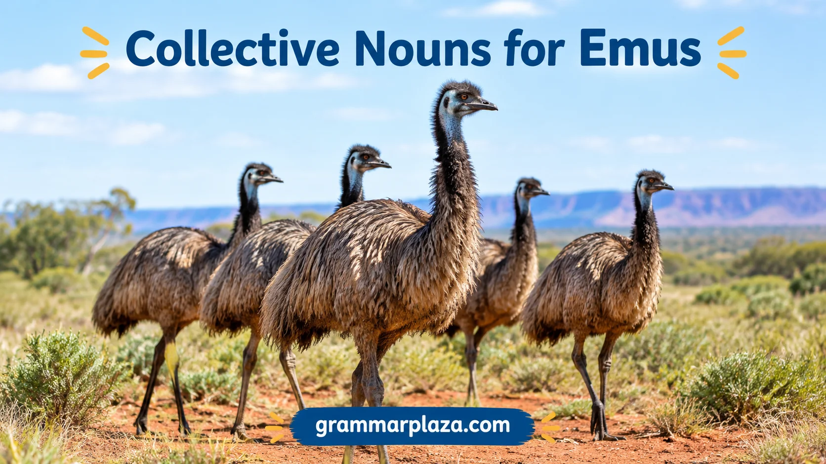 Collective Nouns for Emus