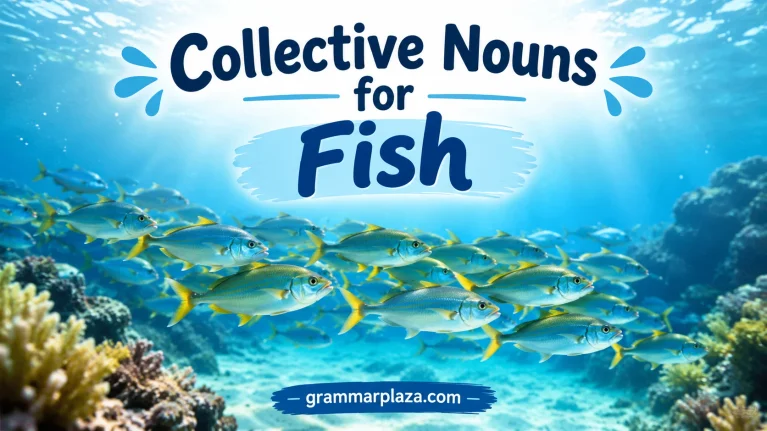 Collective Nouns for Fish