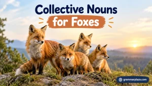 Collective Nouns for Foxes
