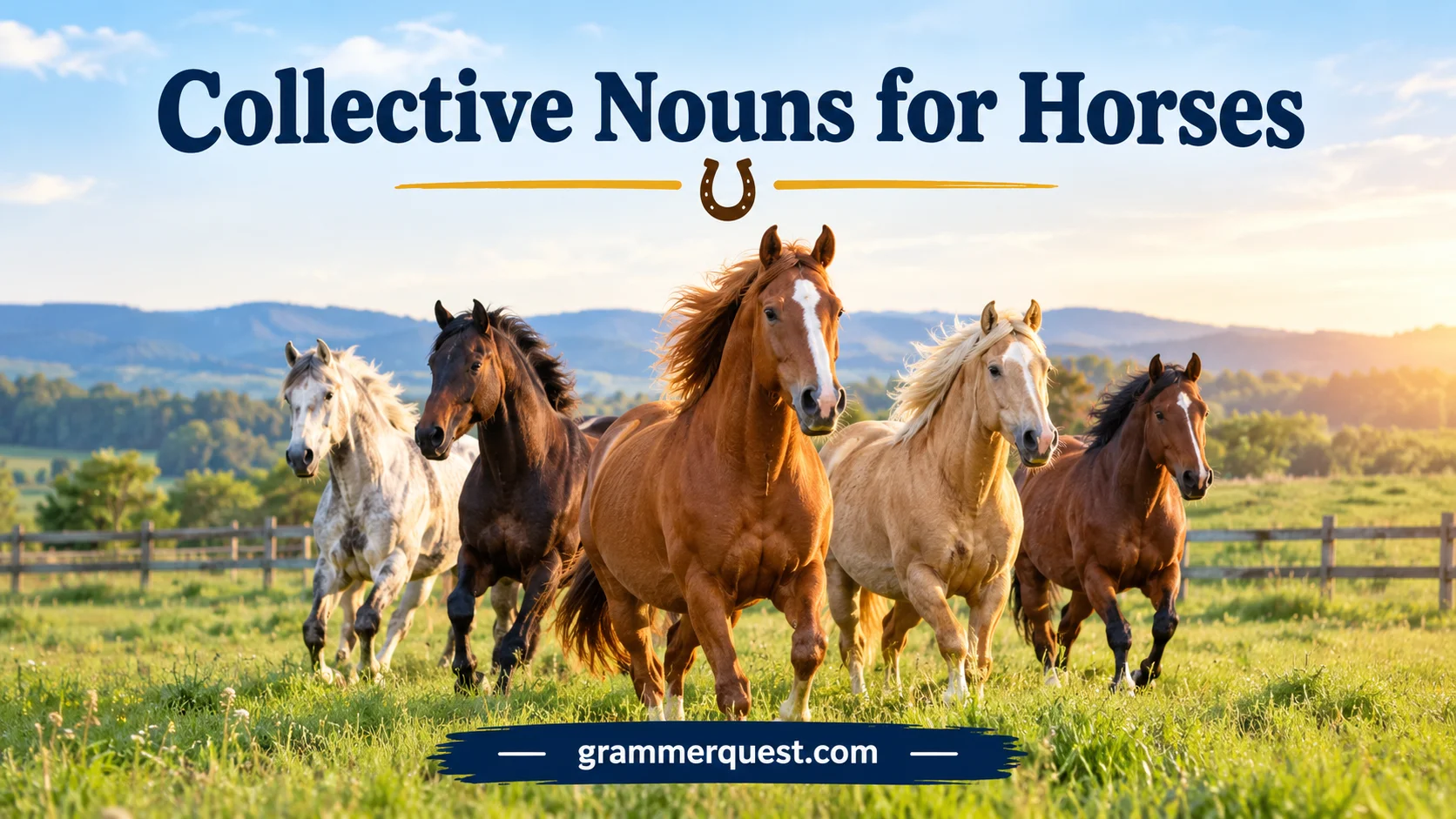 Collective Nouns for Horses