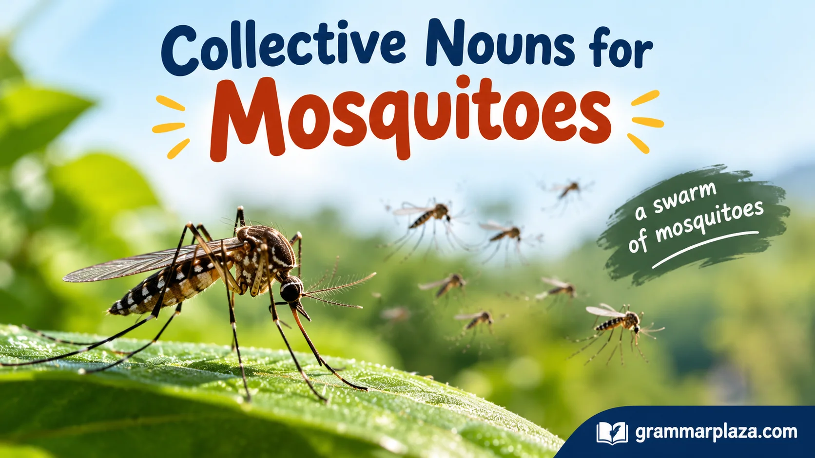 Collective Nouns for Mosquitoes