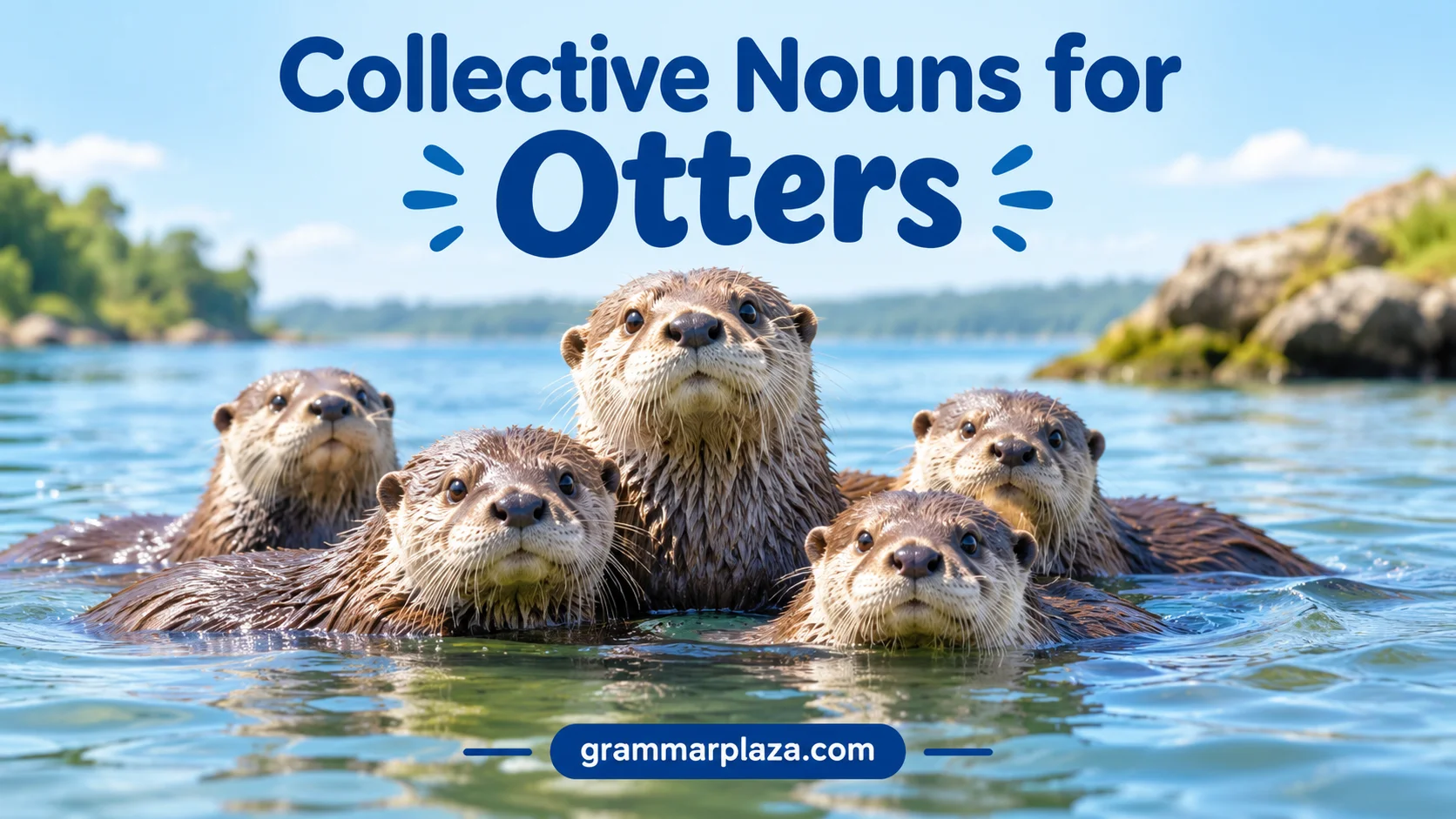 Collective Nouns for Otters