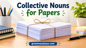Collective Nouns for Papers