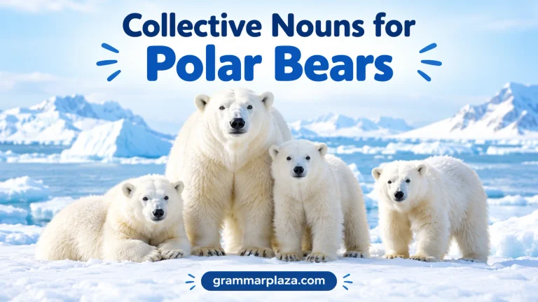 Collective Nouns for Polar Bears