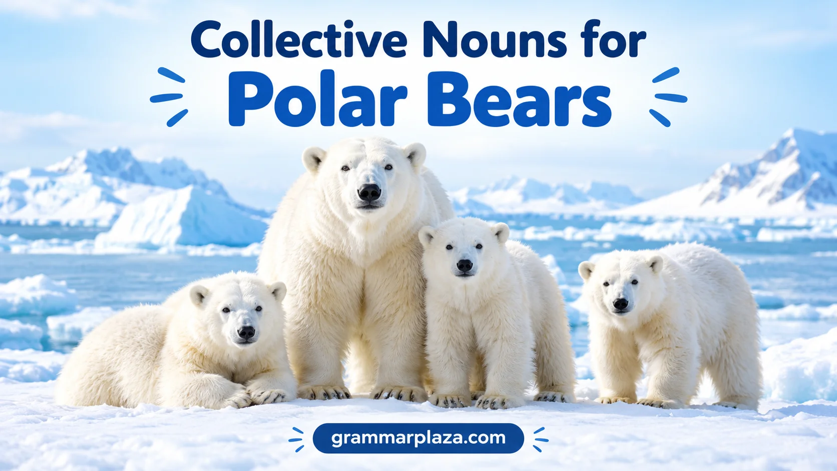 Collective Nouns for Polar Bears